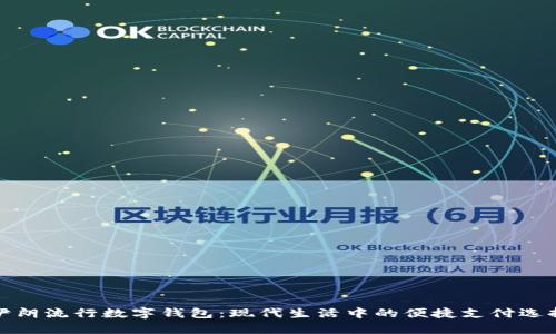 伊朗流行数字钱包：现代生活中的便捷支付选择