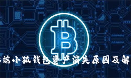 : 电脑端小狐钱包资产消失原因及解决方法