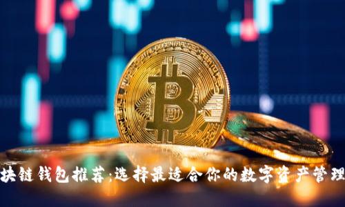 : 区块链钱包推荐：选择最适合你的数字资产管理工具