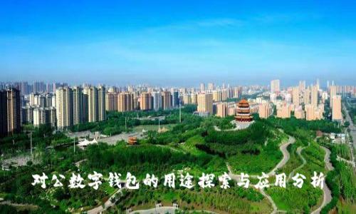 对公数字钱包的用途探索与应用分析