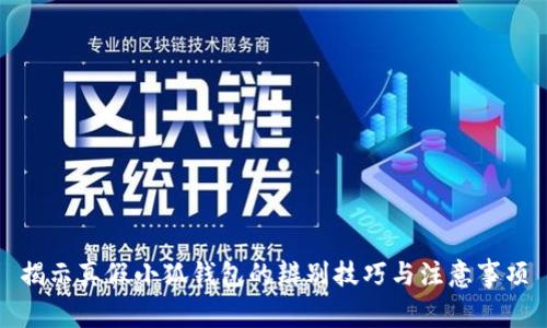 揭示真假小狐钱包的辨别技巧与注意事项