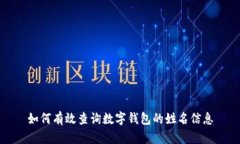 如何有效查询数字钱包的