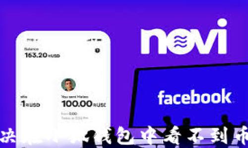 
如何解决在小狐钱包中看不到币的问题