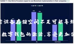 biao ti/biao ti建行数字钱包