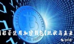 中国能否使用加密钱包？现状与未来分析