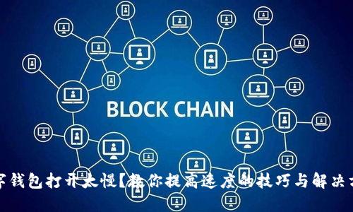 数字钱包打开太慢？教你提高速度的技巧与解决方案