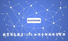 数字钱包额度1200：如何合理利用与管理