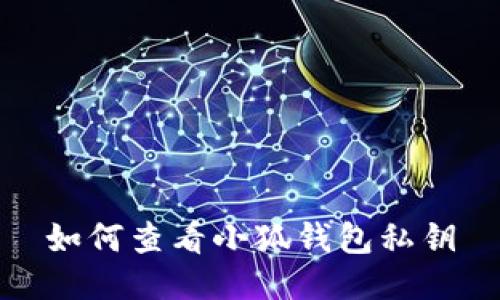 如何查看小狐钱包私钥