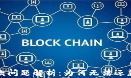 
数字钱包还款问题解析：为何无法还款及解决方案