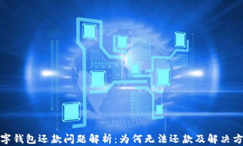 
数字钱包还款问题解析：为何无法还款及解决方案