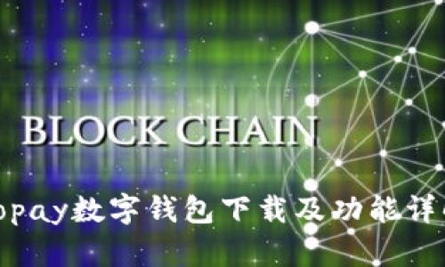 Topay数字钱包下载及功能详解