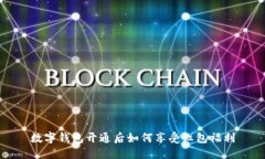 数字钱包开通后如何享受红包福利