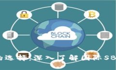 区块链时代的选择：深入