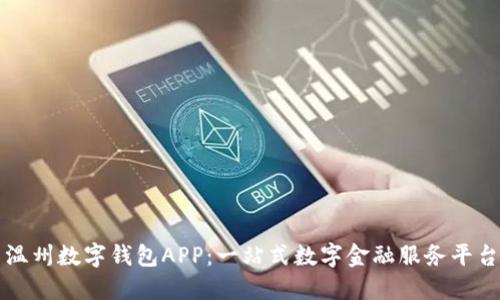 温州数字钱包APP：一站式数字金融服务平台