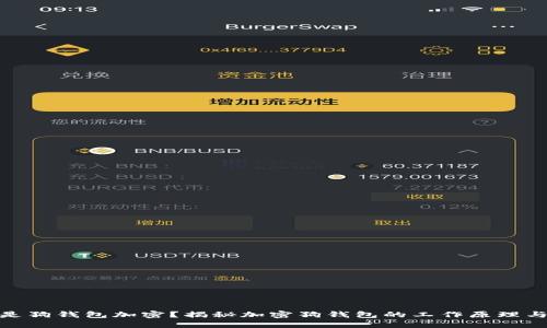: 什么是狗钱包加密？揭秘加密狗钱包的工作原理与安全性